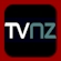 One News logo