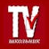 Shkolnik TV logo